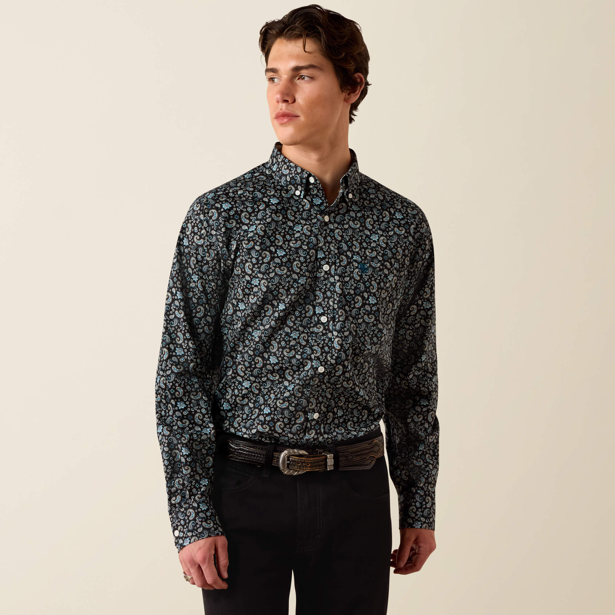 Wrinkle Free Barrette Fitted Shirt